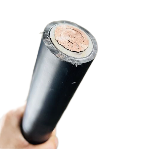 IMG_0447.png IMG_0447.png