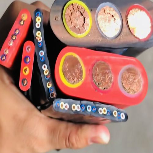 IMG_8559.jpg IMG_8559.jpg