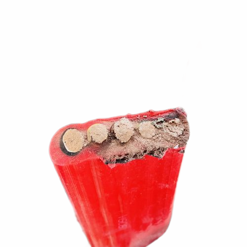 202411141500185007 202411141500185007