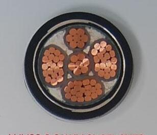 PG���ӡ�(����)��Ϸ������� -pgsoft-games