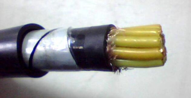 PG���ӡ�(����)��Ϸ������� -pgsoft-games