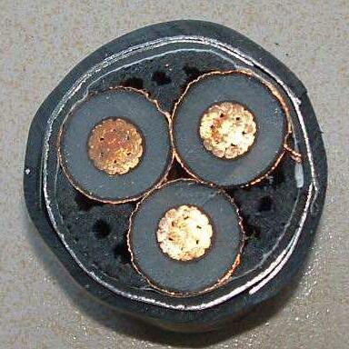 PG电子·(试玩)游戏官网入口 -pgsoft-games