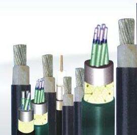 PG���ӡ�(����)��Ϸ������� -pgsoft-games