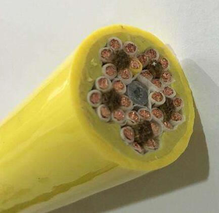 PG���ӡ�(����)��Ϸ������� -pgsoft-games