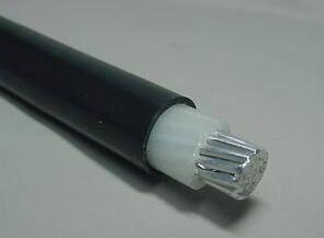 PG���ӡ�(����)��Ϸ������� -pgsoft-games