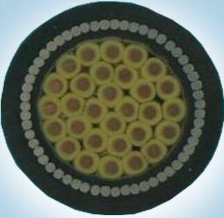 PG���ӡ�(����)��Ϸ������� -pgsoft-games