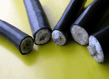 PG���ӡ�(����)��Ϸ������� -pgsoft-games