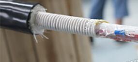 PG���ӡ�(����)��Ϸ������� -pgsoft-games