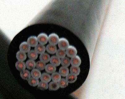 PG���ӡ�(����)��Ϸ������� -pgsoft-games