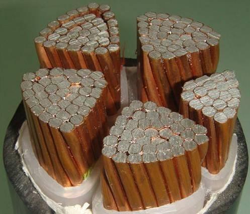 PG���ӡ�(����)��Ϸ������� -pgsoft-games