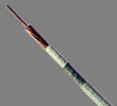 PG���ӡ�(����)��Ϸ������� -pgsoft-games