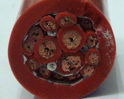 PG���ӡ�(����)��Ϸ������� -pgsoft-games