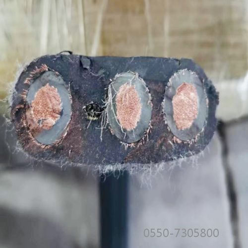 PG电子·(试玩)游戏官网入口 -pgsoft-games