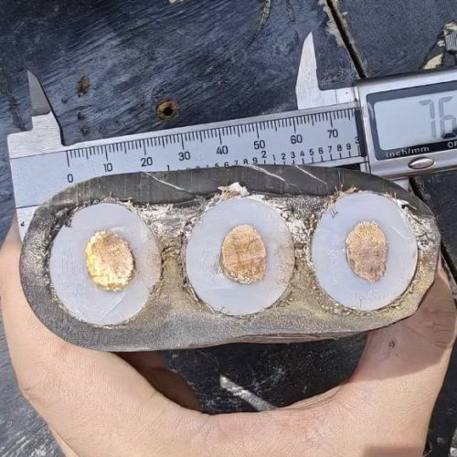 PG电子·(试玩)游戏官网入口 -pgsoft-games