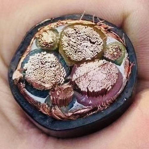 PG电子·(试玩)游戏官网入口 -pgsoft-games