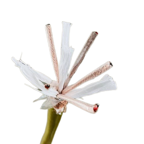 PG电子·(试玩)游戏官网入口 -pgsoft-games