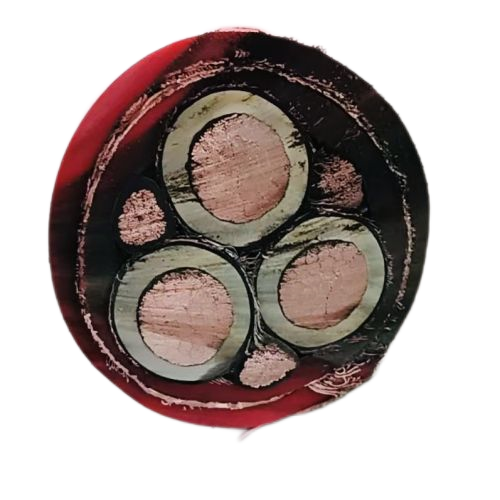 PG���ӡ�(����)��Ϸ������� -pgsoft-games