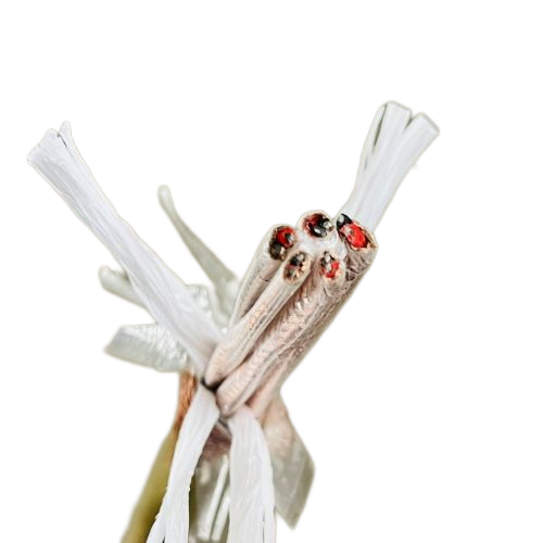 PG���ӡ�(����)��Ϸ������� -pgsoft-games