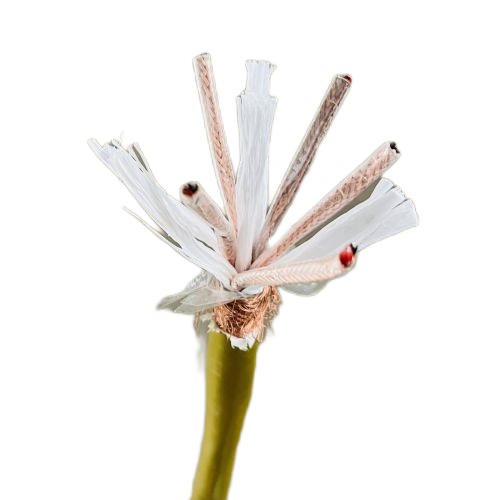 PG电子·(试玩)游戏官网入口 -pgsoft-games