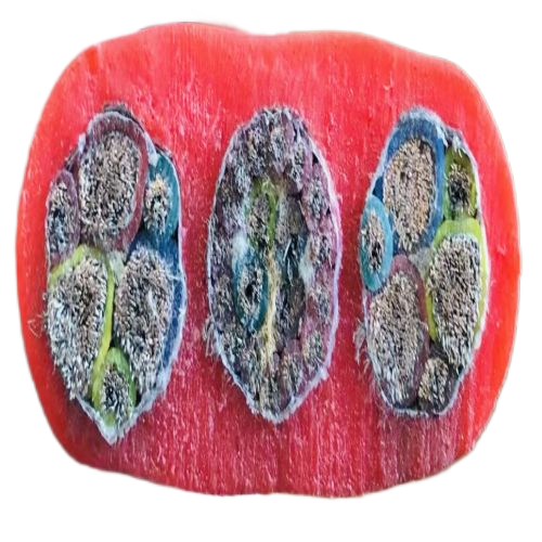 PG���ӡ�(����)��Ϸ������� -pgsoft-games