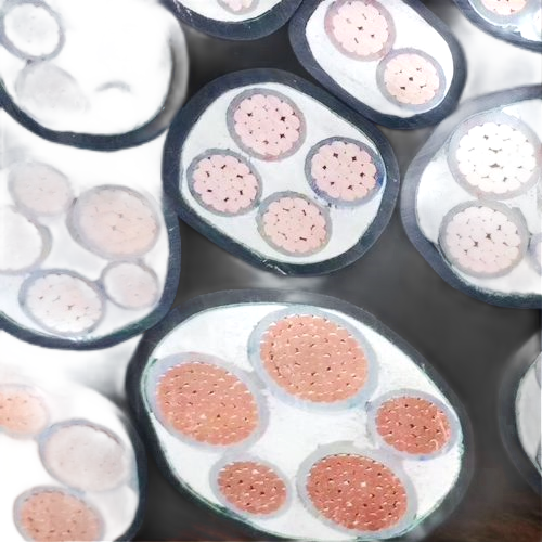 PG电子·(试玩)游戏官网入口 -pgsoft-games