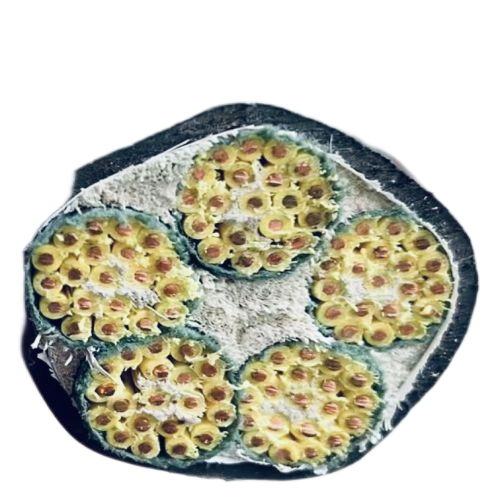 PG���ӡ�(����)��Ϸ������� -pgsoft-games