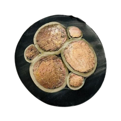 PG���ӡ�(����)��Ϸ������� -pgsoft-games