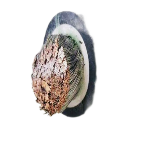 PG电子·(试玩)游戏官网入口 -pgsoft-games