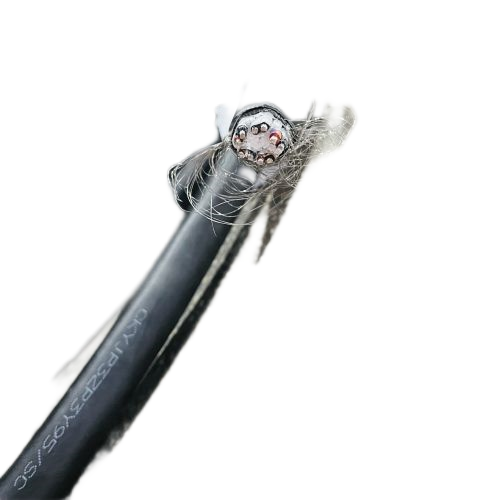 PG���ӡ�(����)��Ϸ������� -pgsoft-games