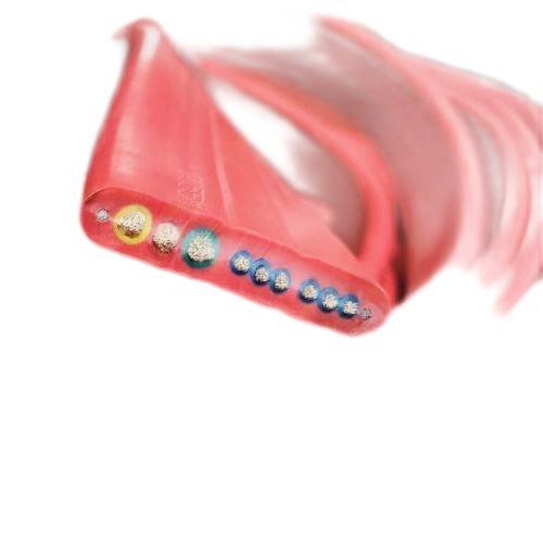 PG���ӡ�(����)��Ϸ������� -pgsoft-games