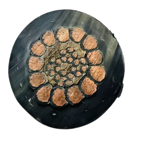 PG电子·(试玩)游戏官网入口 -pgsoft-games