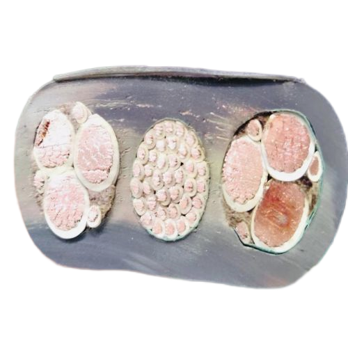 PG���ӡ�(����)��Ϸ������� -pgsoft-games