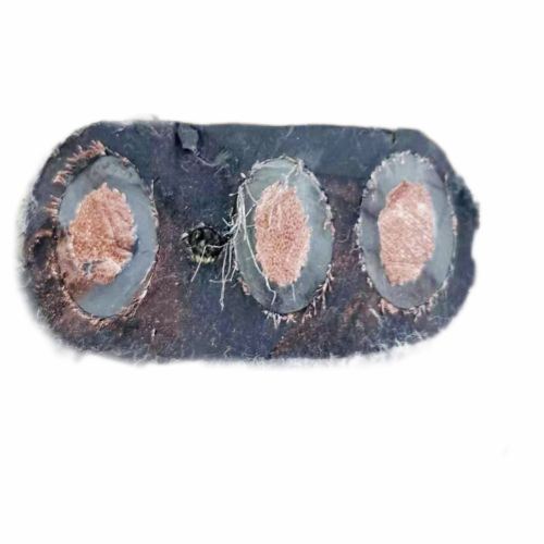 PG���ӡ�(����)��Ϸ������� -pgsoft-games