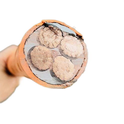 PG���ӡ�(����)��Ϸ������� -pgsoft-games