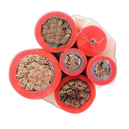 PG���ӡ�(����)��Ϸ������� -pgsoft-games