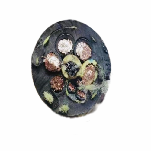 PG电子·(试玩)游戏官网入口 -pgsoft-games